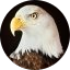 Don Craig Avatar