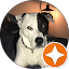 Addy Creasy Avatar
