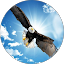 David Palmer Avatar